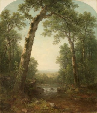 Forest Stream with Vista | Asher Brown Durand | oil painting