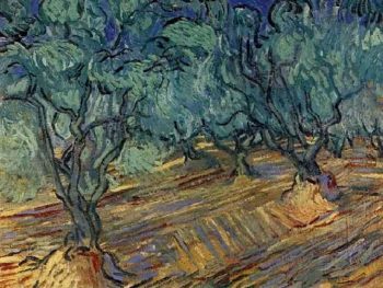 Olive Grove Bright Blue Sky | Vincent Van Gogh | oil painting