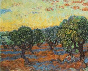 Olive Grove Orange Sky | Vincent Van Gogh | oil painting