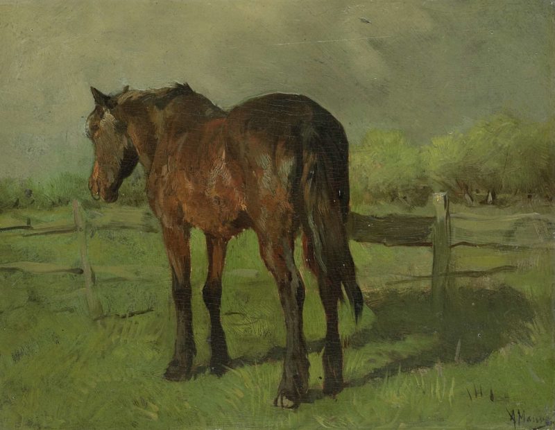 Horse. 1860 - 1888 | Anton Mauve | oil painting