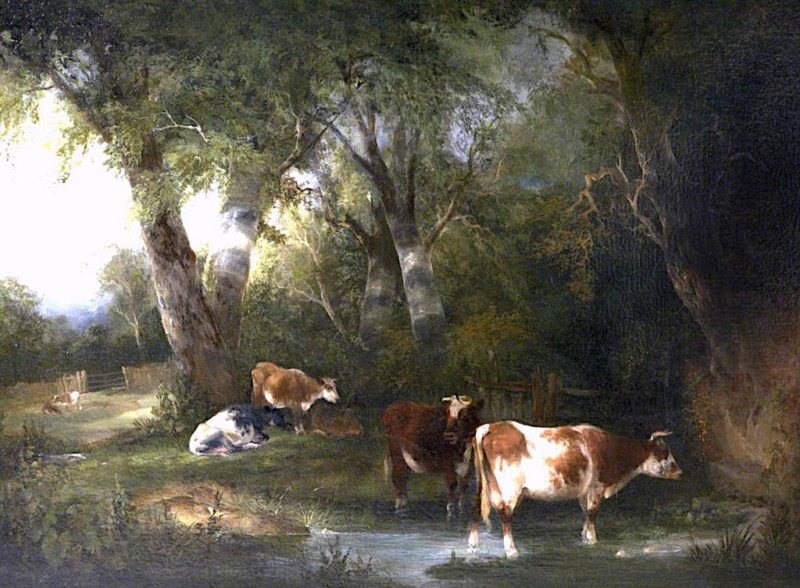 Cattle in a Wooded Landscape | William Shayer Snr | oil painting