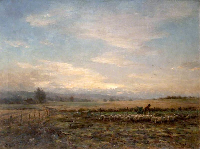 Sheep Folded on Turnips | William Darling McKay | oil painting