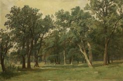 Forest Glade | Ivan Ivanovich Shishkin | Oil Painting