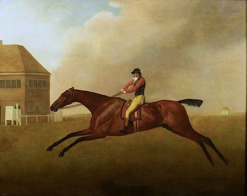 Baronet' with Samuel Chifney up | George Stubbs | Oil Painting