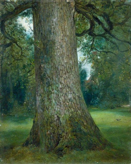 Study of the Trunk of an Elm Tree | John Constable | Oil Painting