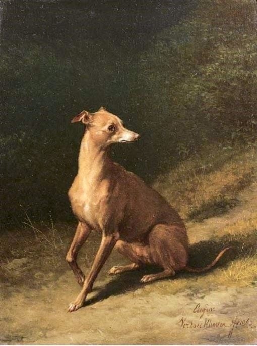 Portrait of a Whippet | Eugene Verboeckhoven | Oil Painting