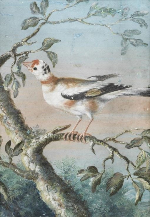 A Bird Seated on a Branch | Christoph Ludwig Agricola | Oil Painting